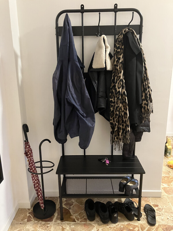 Hall with umbrella stand, coat rack and mirror